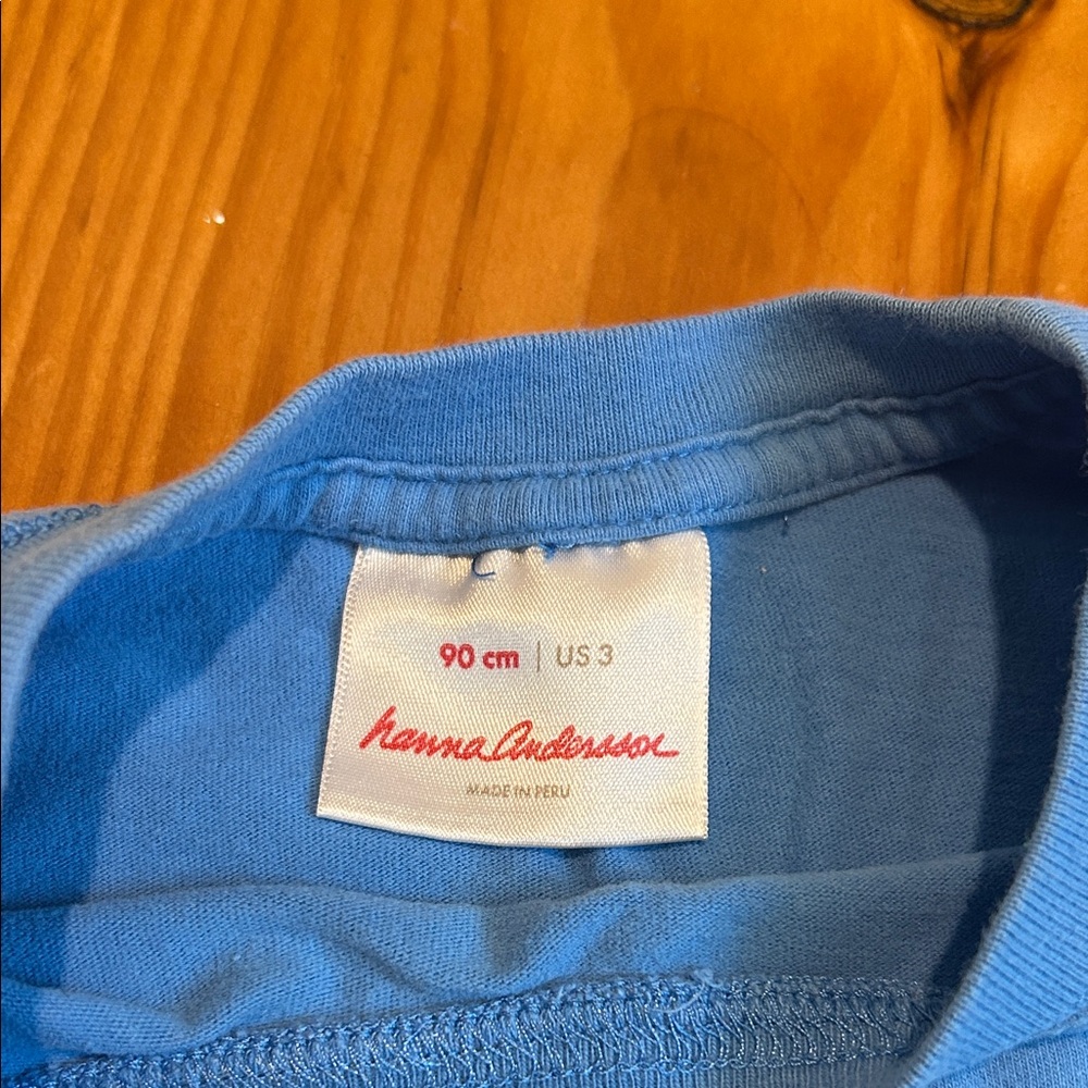 Hanna Andersson Blue Tee with Bear on Bike - Picture 2 of 3